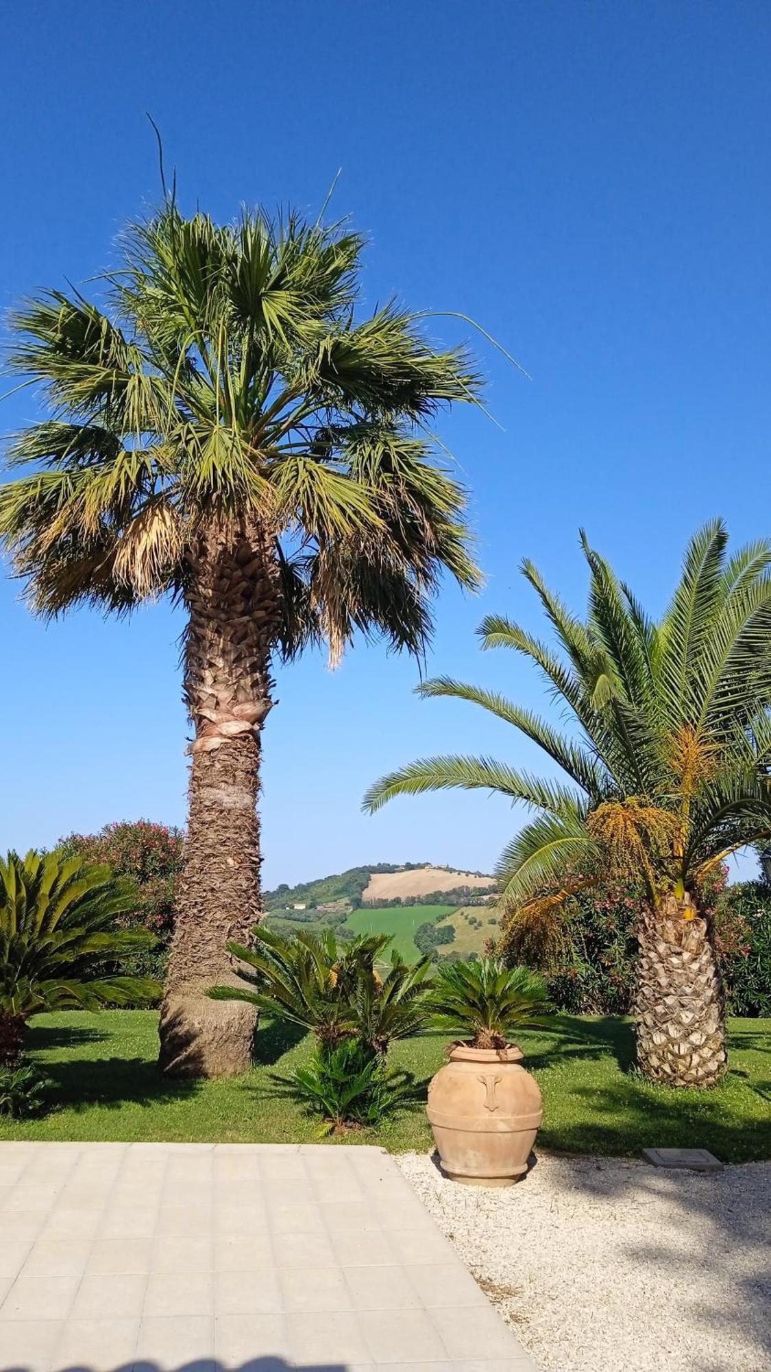 Villa Belvedere Degli Ulivi Osimo Exterior foto