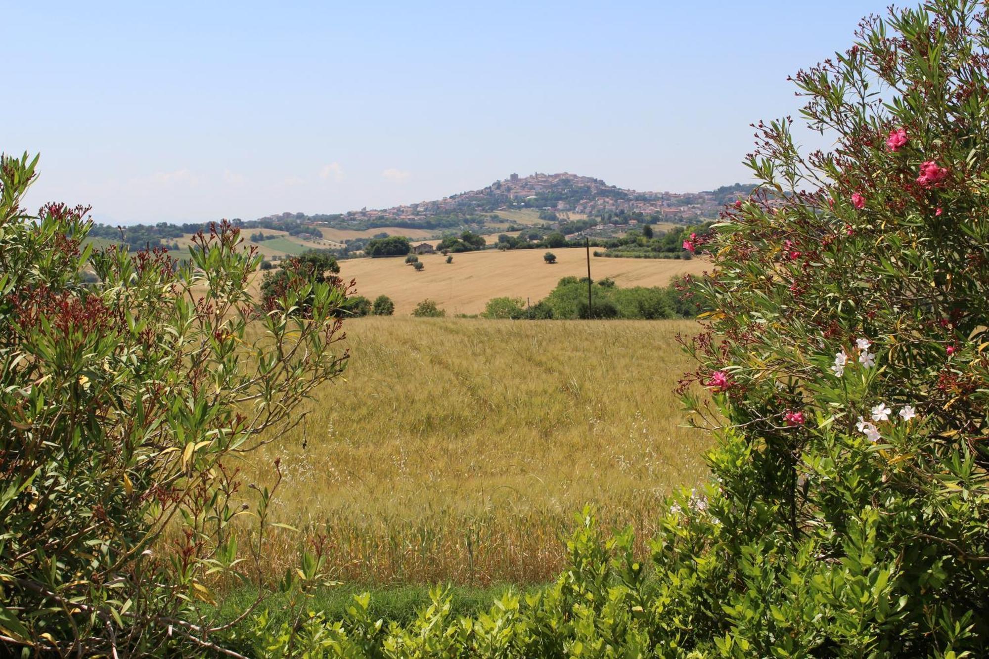 Villa Belvedere Degli Ulivi Osimo Exterior foto