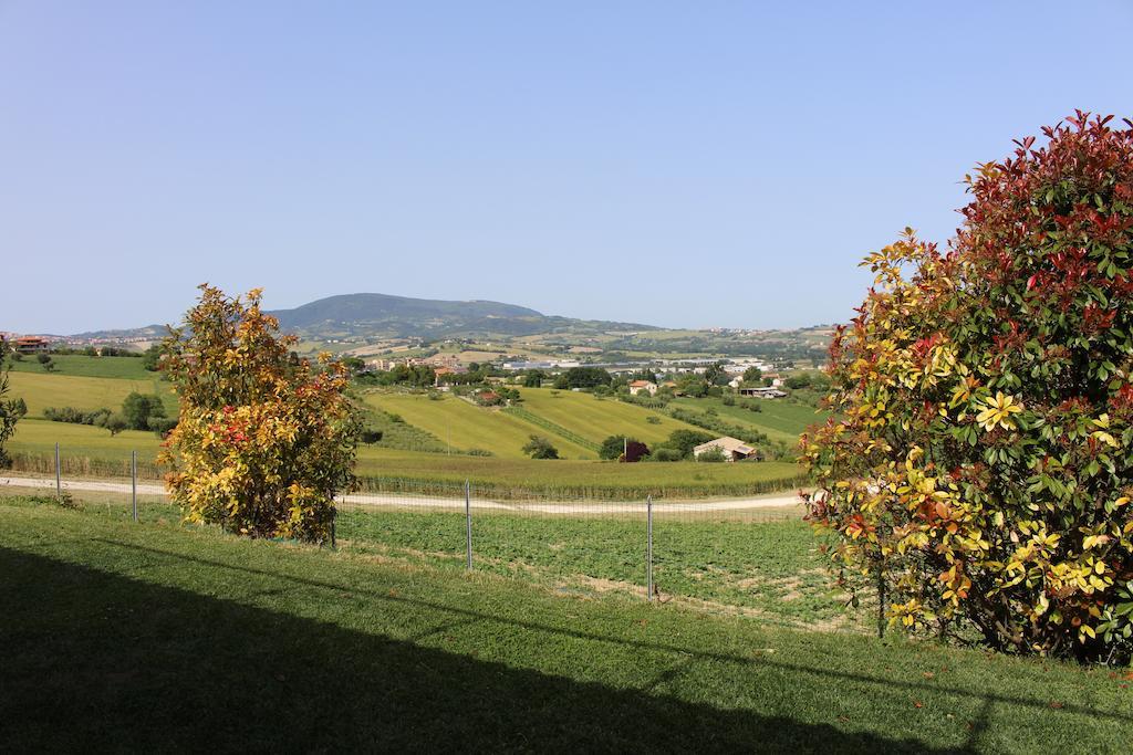 Villa Belvedere Degli Ulivi Osimo Exterior foto